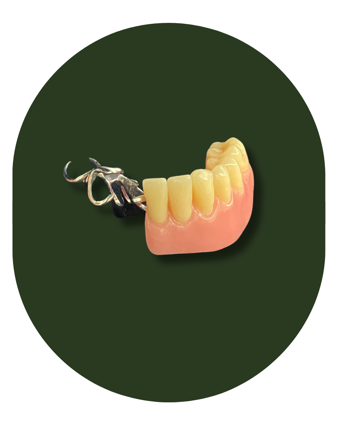 protese bucomaxilofacial, intra oral, Obturadora, Prótese para grandes perdas de maxila ou mandíbula, Rebaixadora de palato, Obturadora Imediata, Óculo Palpebral, Ocular, Nasal, Prótese de orelha, Prótese labial, Facial extensa, PROTETORES PARA RADIOTERAPIA