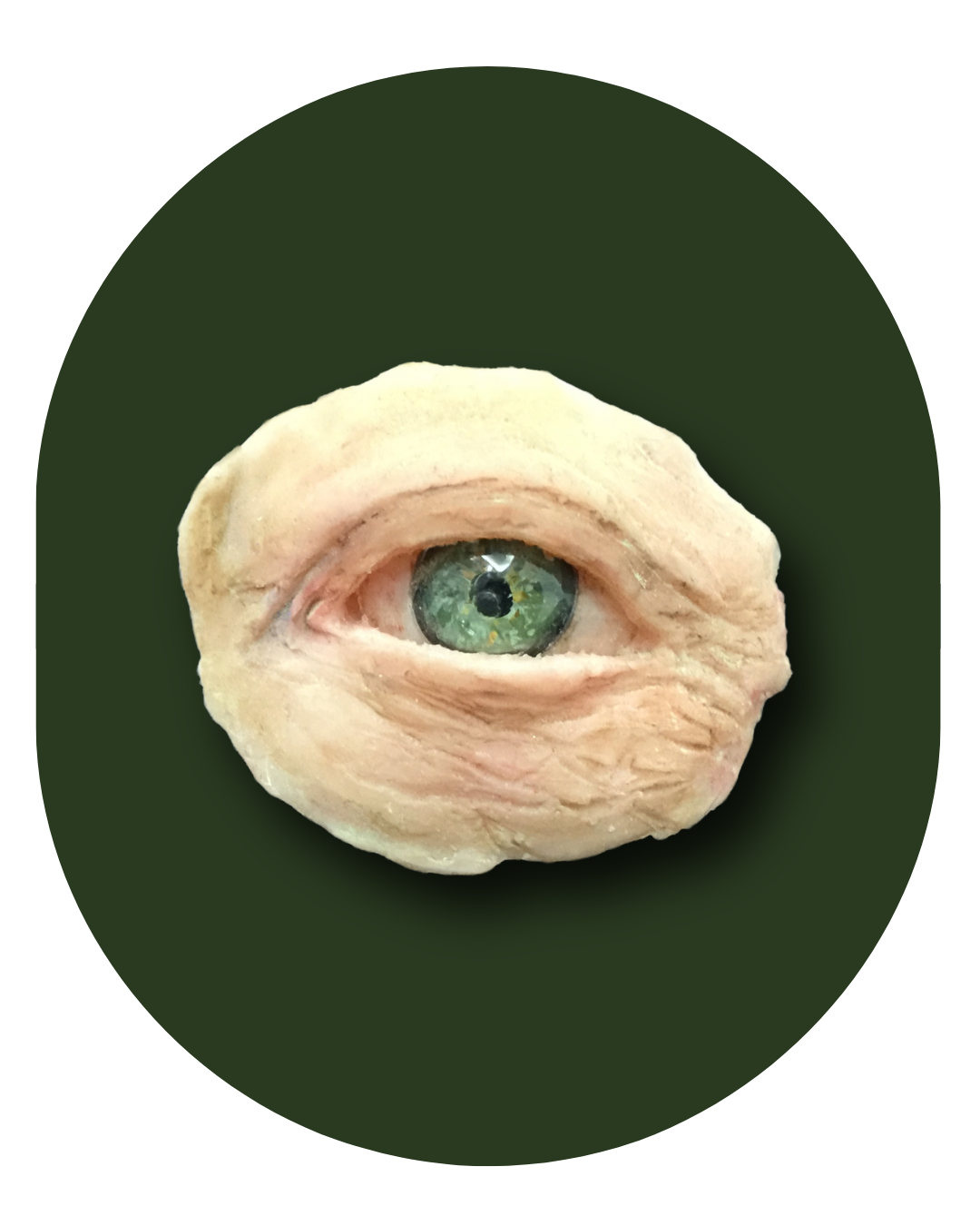 protese bucomaxilofacial, intra oral, Obturadora, Prótese para grandes perdas de maxila ou mandíbula, Rebaixadora de palato, Obturadora Imediata, Óculo Palpebral, Ocular, Nasal, Prótese de orelha, Prótese labial, Facial extensa, PROTETORES PARA RADIOTERAPIA